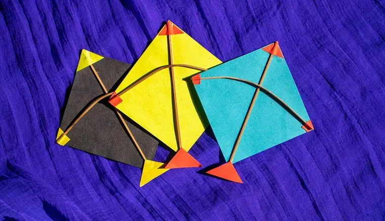 Makar Sankranti kite festival